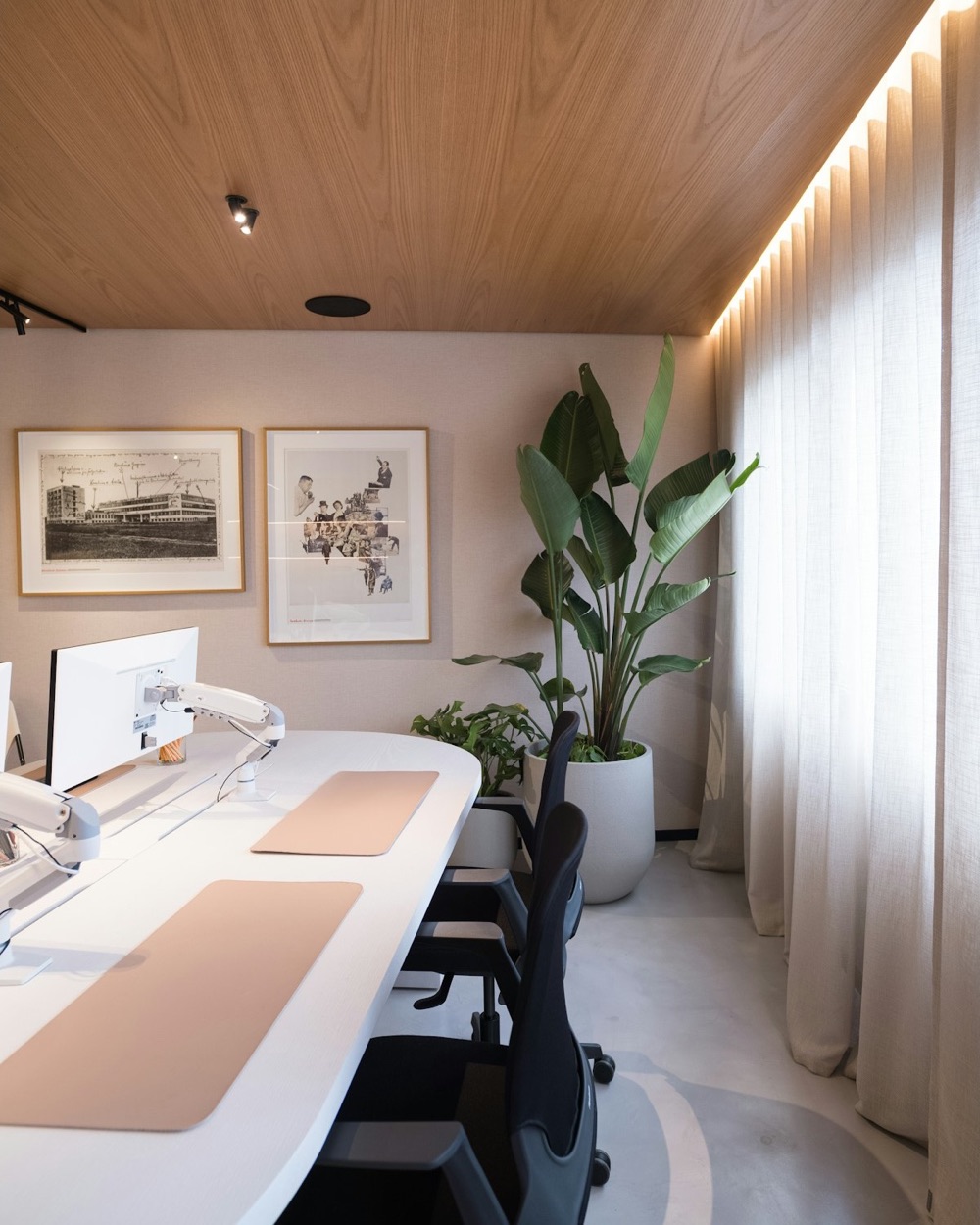 Bright, spotless office with white desks, a wood ceiling and a large plant